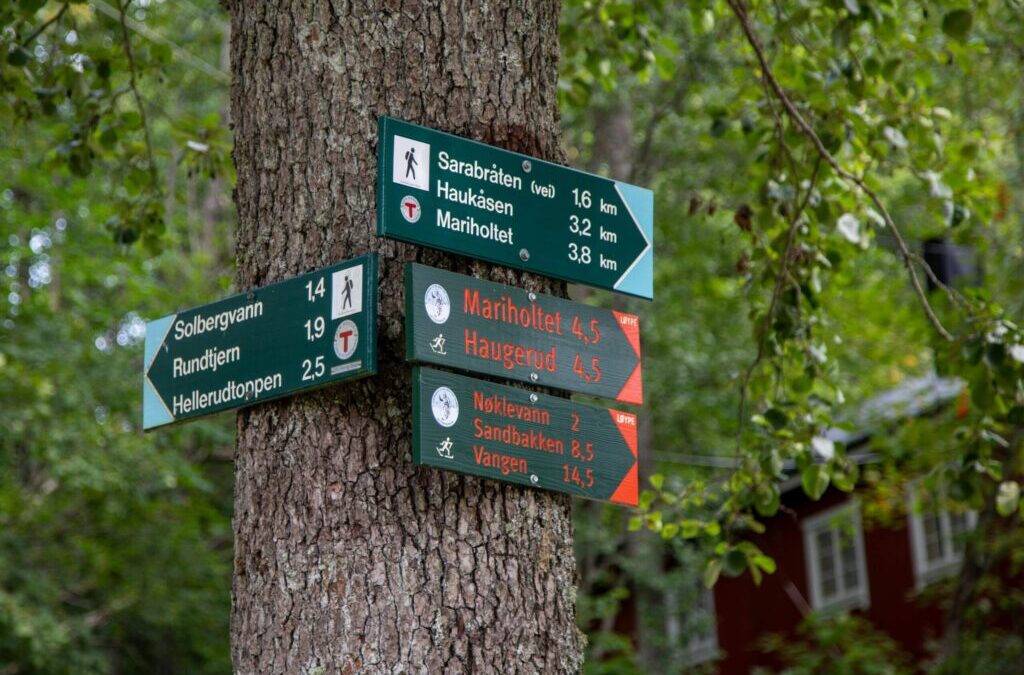 Découverte de la Forêt d’Amnéville