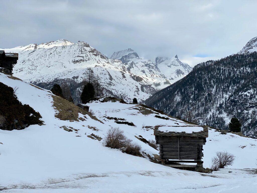 decouvrez-la-magie-de-la-cabane-des-praz-1749740532-scaled-1024×768