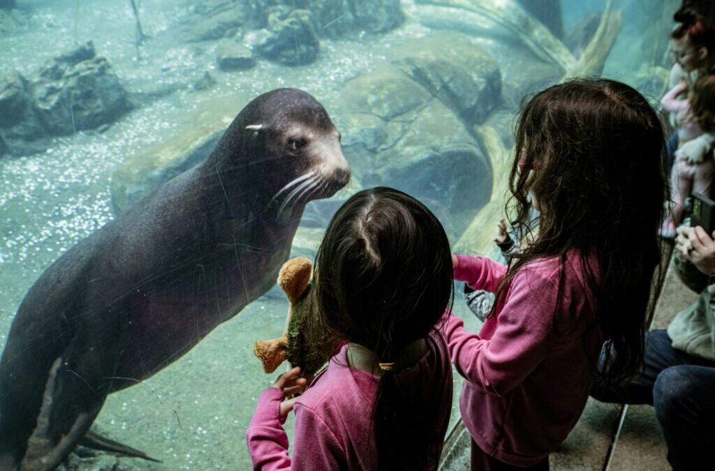 Une journée en famille au zoo du bois d’Attilly